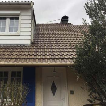 Nettoyage de toiture 77